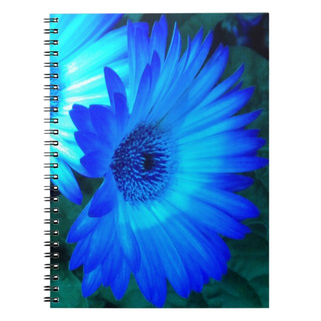 Brilliant Blue Daisies Notebook (Front)