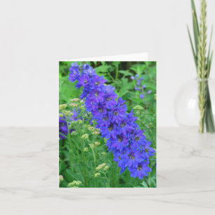 BRILLIANT BLUE DELPHINIUM NOTECARD