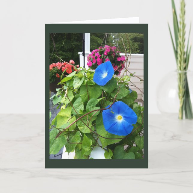 Brilliant Blue Morning Glories Blank  Card (Front)