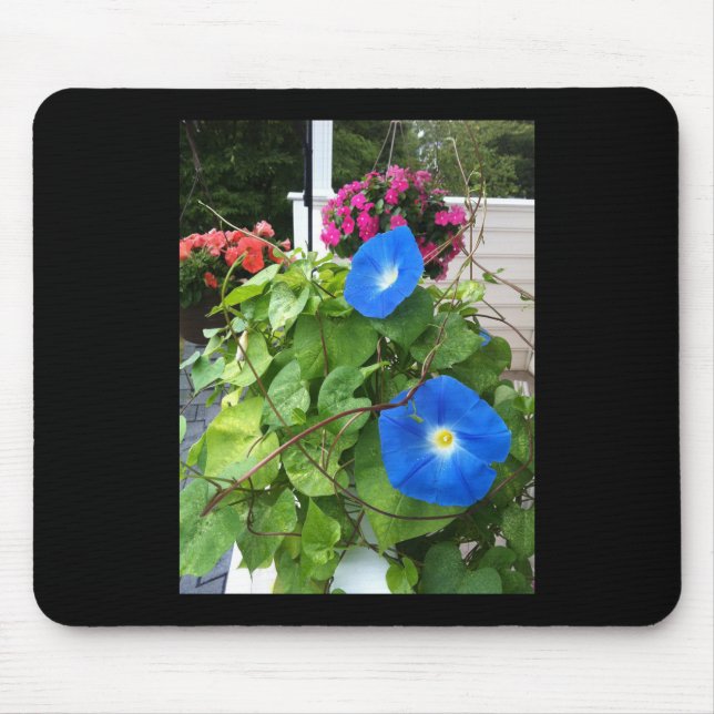Brilliant Blue Morning Glories Mouse Pad (Front)