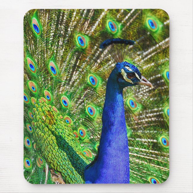 Brilliant Blue Peacock Mouse Pad (Front)