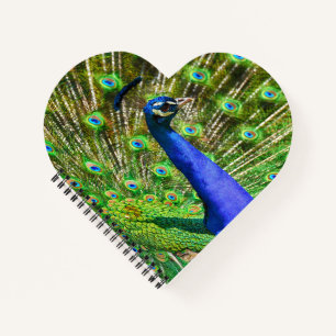 Brilliant Blue Peacock Notebook