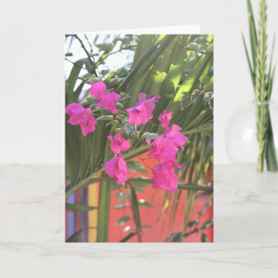 Brilliant Bougainvillea Card