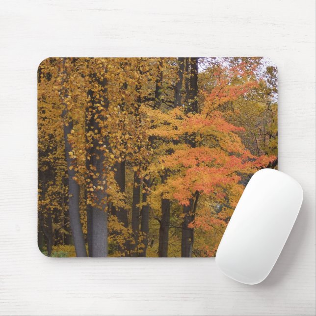 Brilliant Coloured Fall Trees and Leaves Mousepad (With Mouse)