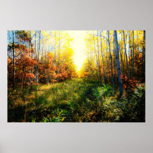 Brilliant coloured landscape print