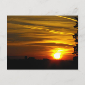 Brilliant Glow Postcard