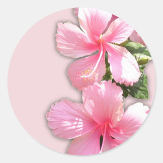 Brilliant Pink Hawaiian Hibiscus Flowers Classic Round Sticker