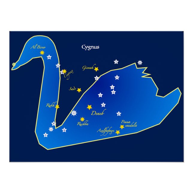 Brilliant poster of the Constellation of the Swan (Front)
