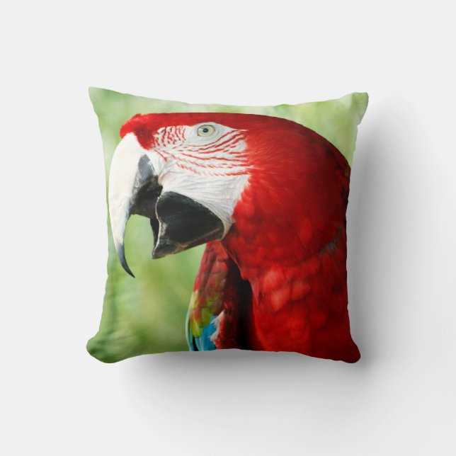 Brilliant Red Cushion (Front)