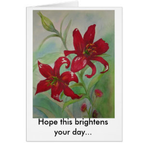 Brilliant Red Flowers Brighten Your Day