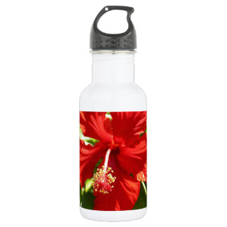 Brilliant Red Hawaiian Hibiscus Flower 532 Ml Water Bottle