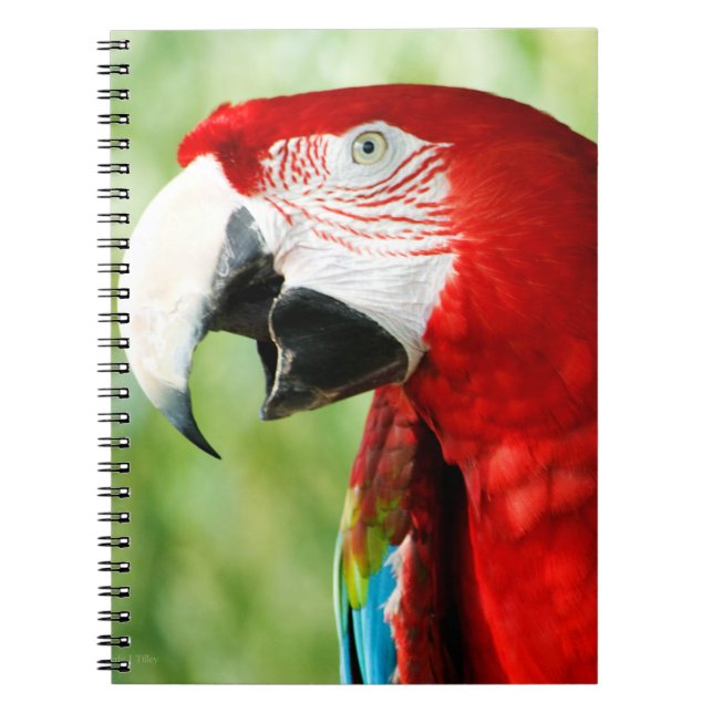 Brilliant Red Spiral Notebook (Front)