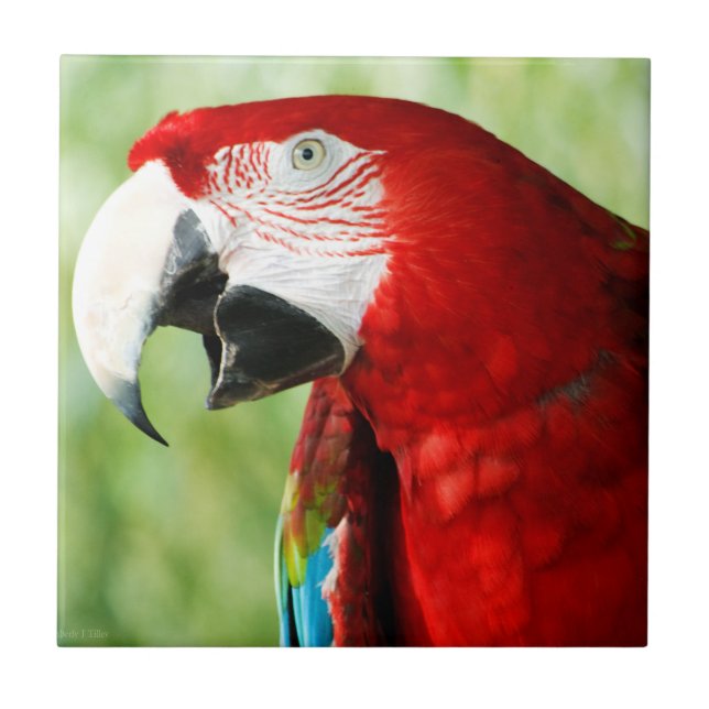 Brilliant Red Tile (Front)