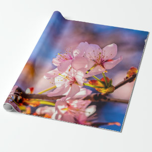 Brilliant Sakura Blossoms Wrapping Paper