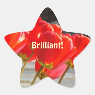 Brilliant! stickers Add Your Own Text Star sticker