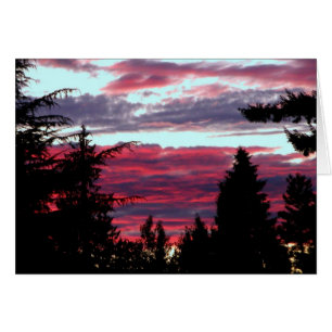 Brilliant Sunset