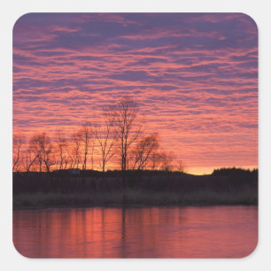 Brilliant sunset reflects into the Calamus River Square Sticker