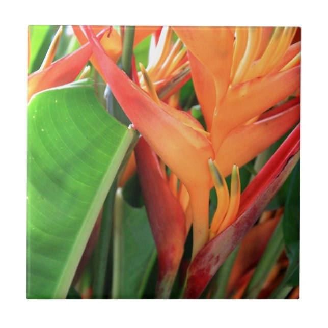 Brilliant Tropical Heliconia Florals Tile (Front)