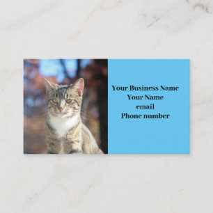 Brin Business Card