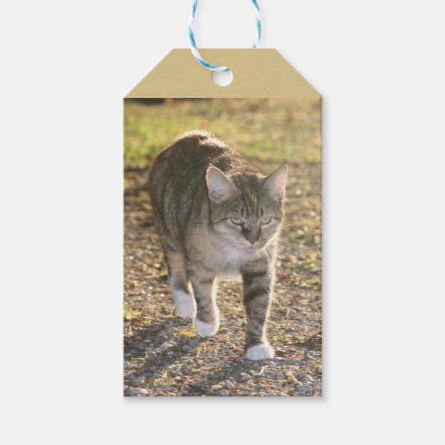 Brin Gift Tags (Front)