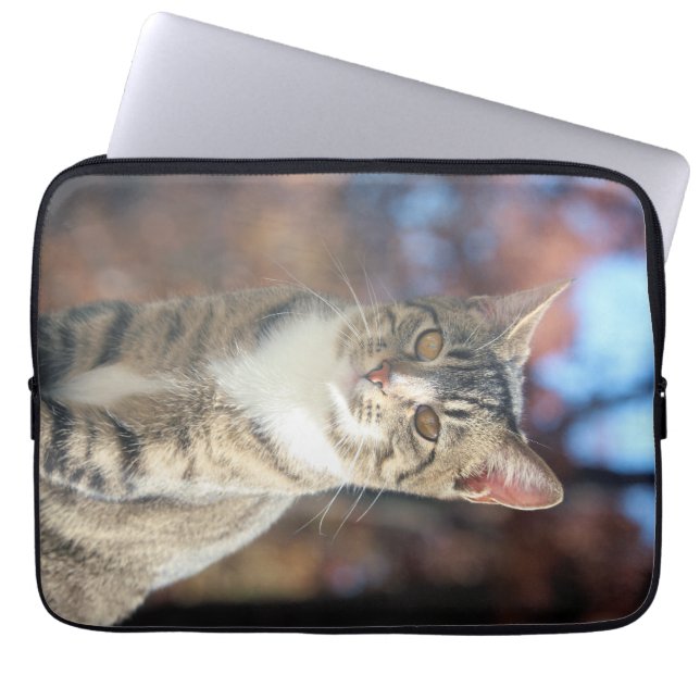 Brin Laptop Sleeve (Front)