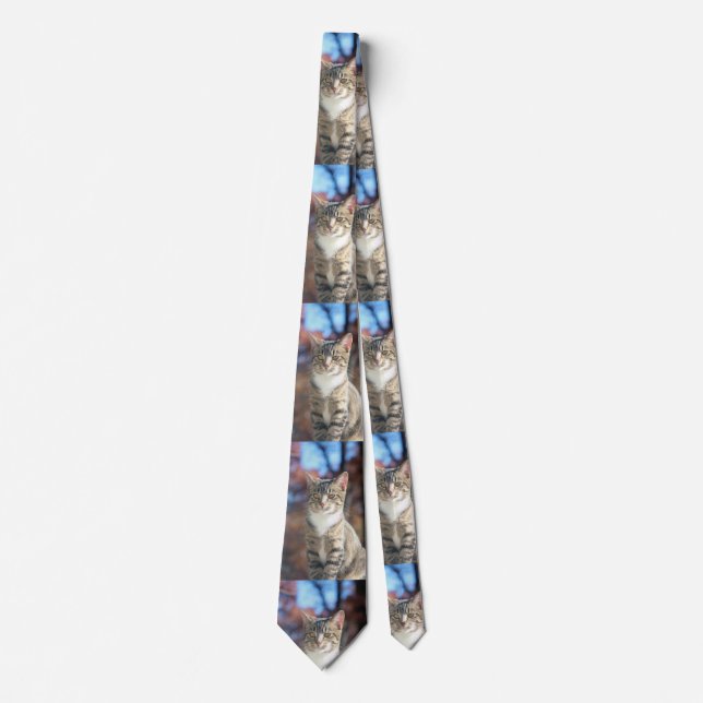 Brin Tie (Front)