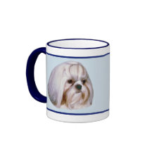 Brindle and White Shih Tzu Dog
