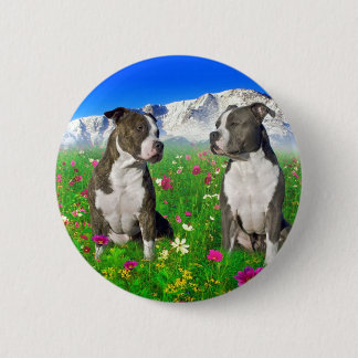 Brindle & Blue Staffordshire & Pit Bull Dogs 6 Cm Round Badge