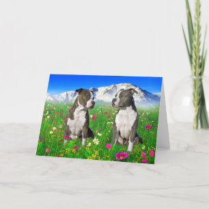 Brindle & Blue Staffordshire & Pit Bull Dogs Card