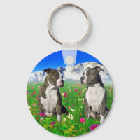 Brindle & Blue Staffordshire & Pit Bull Dogs