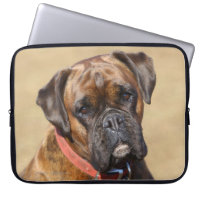 Brindle Boxer Dog