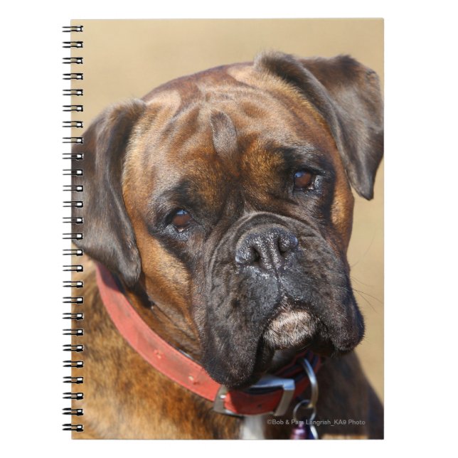 Brindle Boxer Dog Notebook (Front)