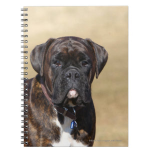 Brindle Boxer Dog Standing Spiral Notebook