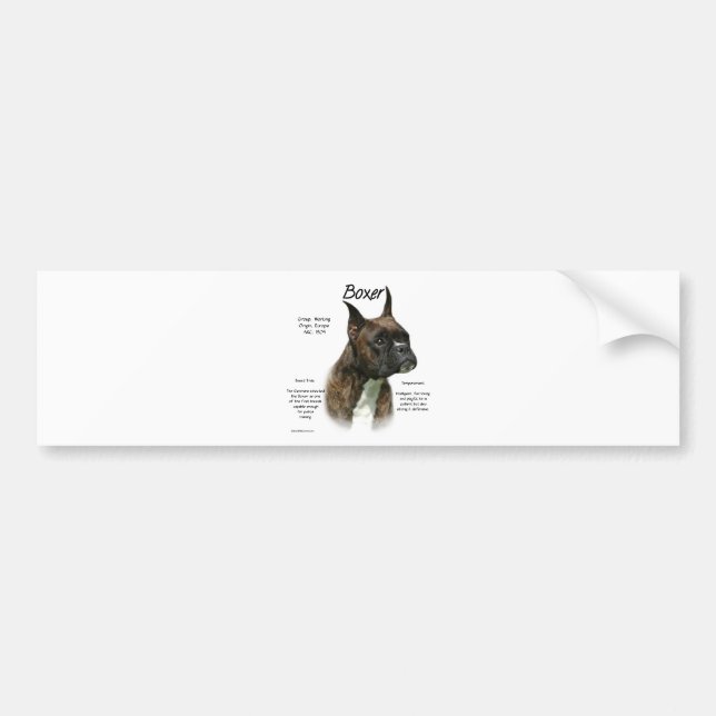 Brindle Boxer History  Bumper Sticker (Front)