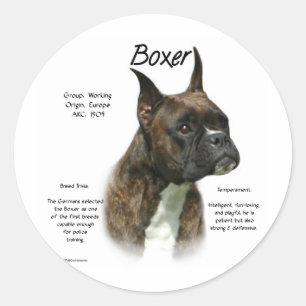 Brindle Boxer History Classic Round Sticker