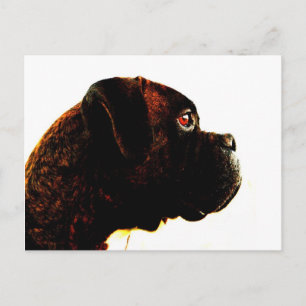 Brindle boxer postcard
