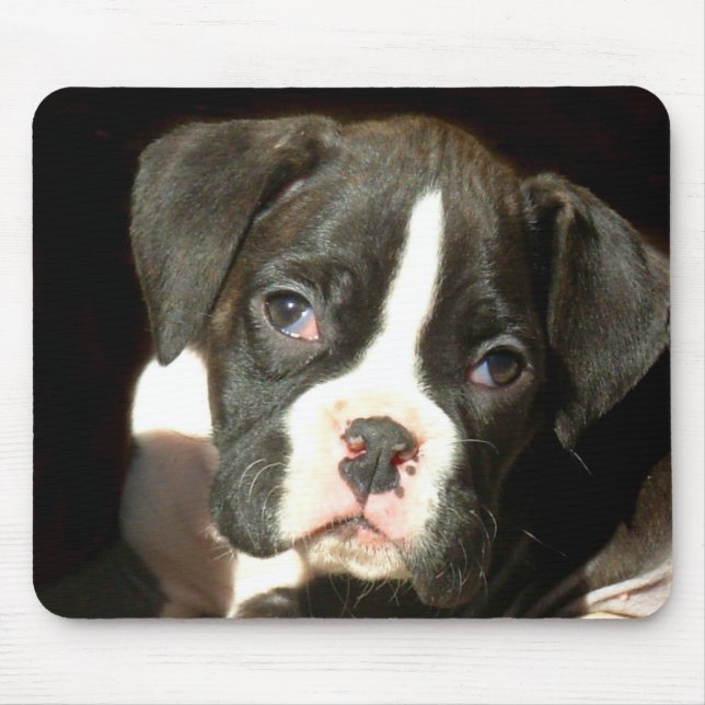 Brindle boxer puppy mousepad (Front)