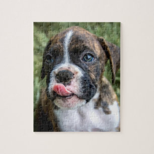 Brindle Boxer Puppy Puzzle- Boxer Dog Puzzles
