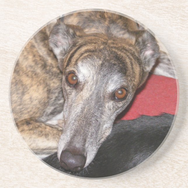 Brindle greyhound coaster (Front)