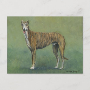 "Brindle Greyhound" Dog Art Postcard