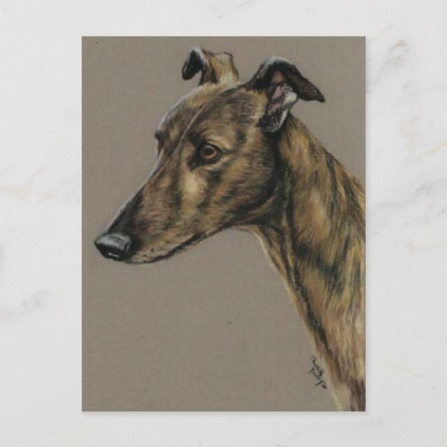 "Brindle Greyhound" Dog Art Postcard (Front)