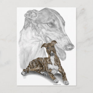Brindle Greyhound Dog Art Postcard