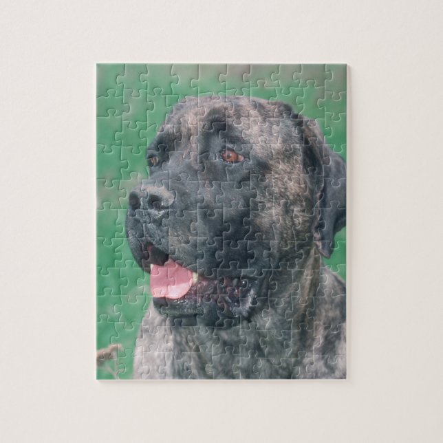 Brindle Masstiff Dog Puzzle (Vertical)