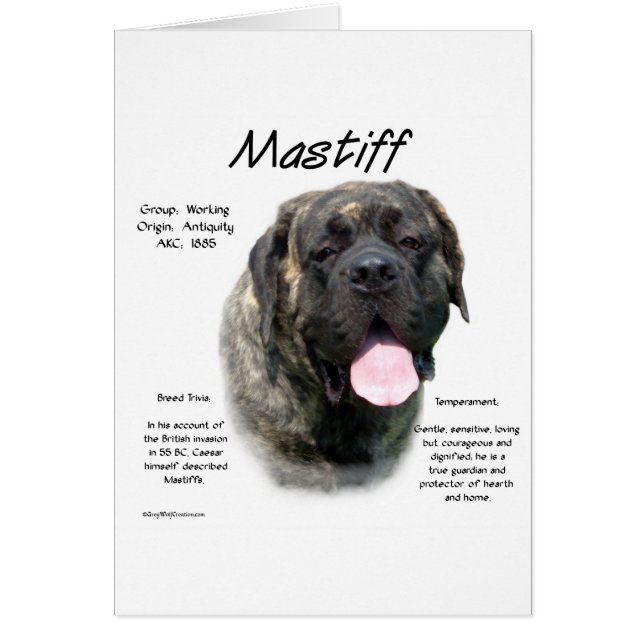 Brindle Mastiff History  (Front)