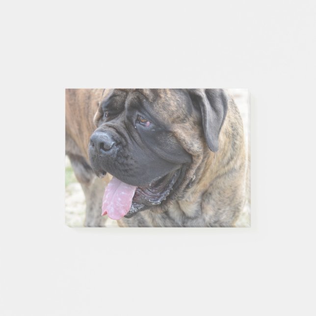 Brindle Mastiff Post-it Notes (Front)
