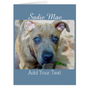 Brindle Pit Bull Puppy by Shirley Taylor