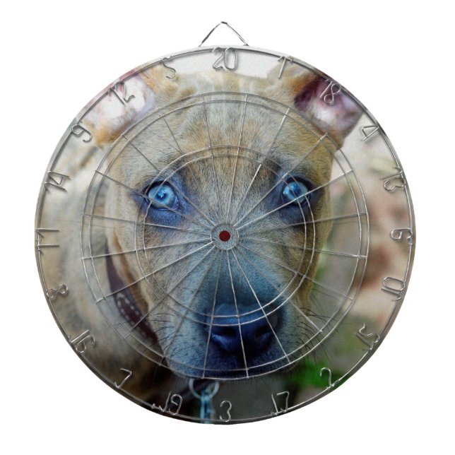 Brindle Pit Bull Puppy by Shirley Taylor Dartboard (Front)