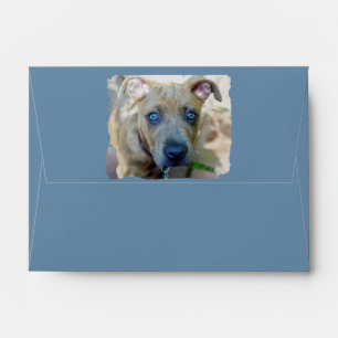 Brindle Pit Bull Puppy by Shirley Taylor Envelope