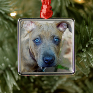 Brindle Pit Bull Puppy by Shirley Taylor Metal Tree Decoration