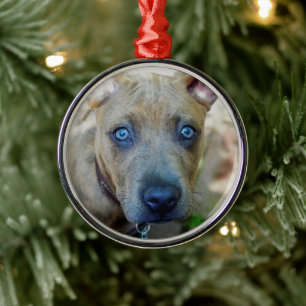 Brindle Pit Bull Puppy by Shirley Taylor Metal Tree Decoration